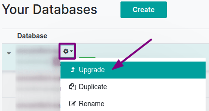 Click on the settings button next to your database, then on "Upgrade"